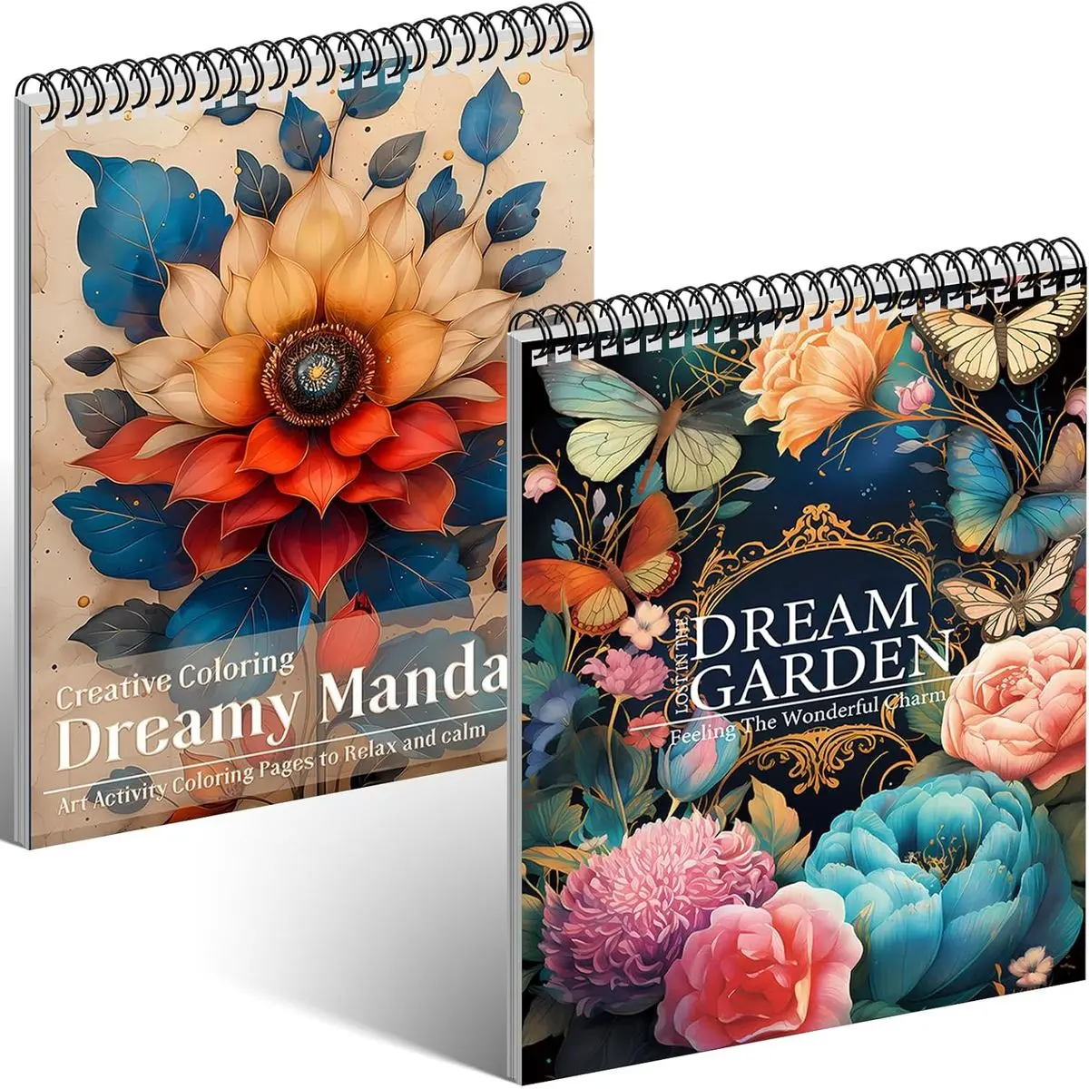 Mandala & Dream Garden