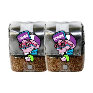 Mini Mushroom Grow Bag ( 2x ) - 3lb (6lb TOTAL)