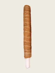 Coco Pole