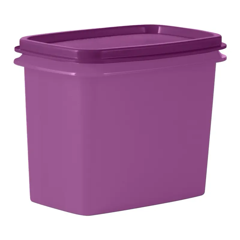 Guarda Box 950ml by Tupperware