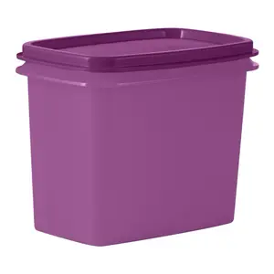 Guarda Box 950ml by Tupperware