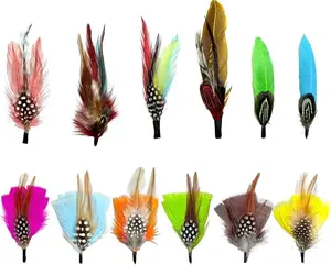 12 Pcs Natural Hat Feathers, Craft Feathers, Feathers for Crafting, Assorted Color Accessories for Men Women Fedora, Cowboy Hats, Trilby Hats, Brooches, Table Decor & DIY Projects