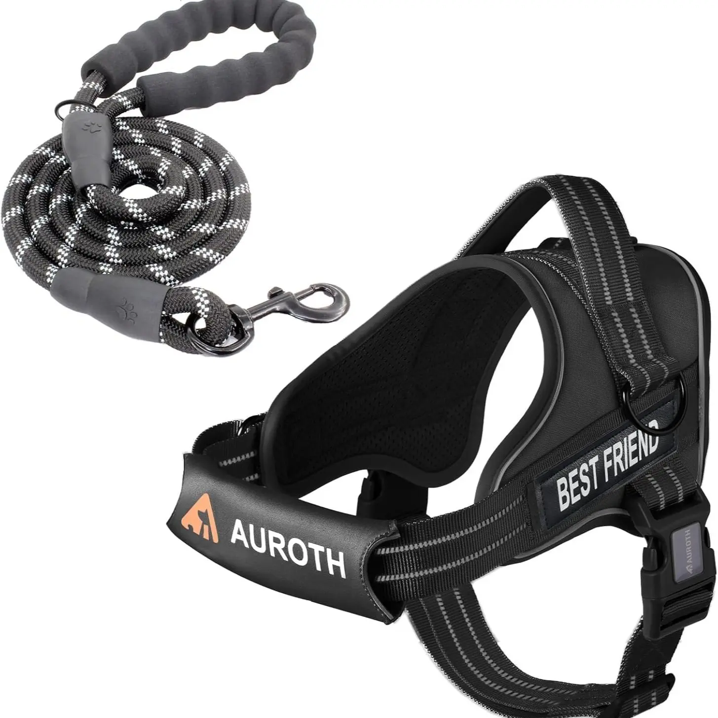 Leash Set-Black