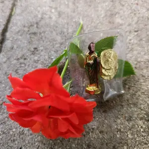 San juditas para cartera