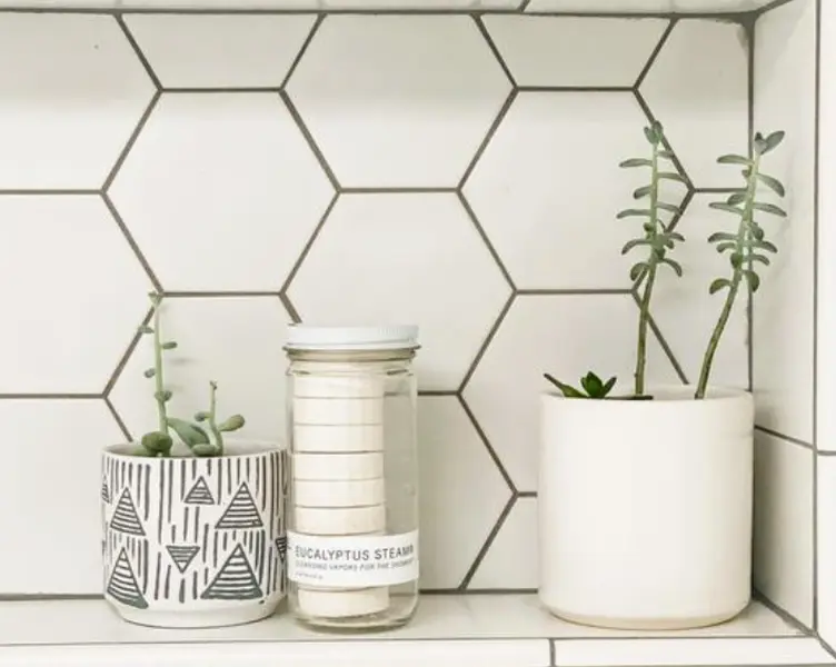 Shower Steamers | Eucalyptus Steam | Earth and Daughter