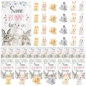 48 Pcs Easter Pocket Hug Bunny Easter Card Mini Resin Bunny Heart Card Easter Basket Stuffers Classroom Exchange Party Favors Reward Prizes for Students Valentine's Gift for Dog Lovers
