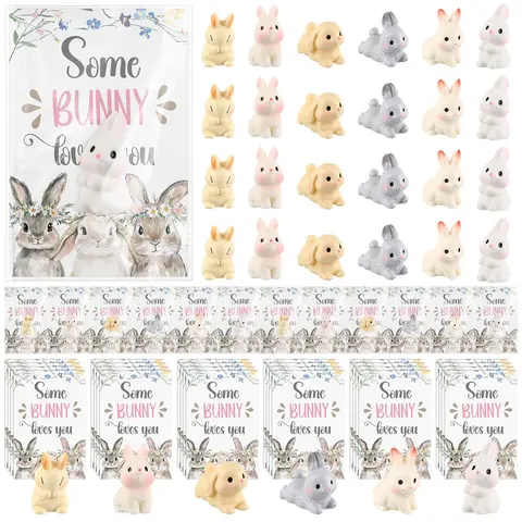 24 Sets Pocket Hug Bunny Gifts Mini Resin Bunny Heart Card  Spring Animals Party Favors Classroom Exchange Reward Prizes for Students Gift Bag Fillers Emotional Support Holiday Gift for Bunny Animal Lovers