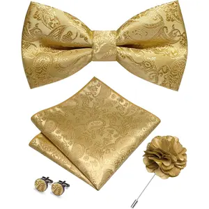 Paisley Pre-tied Bow Tie and Pocket Square Cufflinks Lapel Pin Sets for Men 4PCS