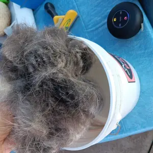 Pet Grooming Brush-Double Sided Hurtless Shedding and Dematting Undercoat Rake Comb for Dogs and Cats, No More Nasty Shedding or Flying Hair