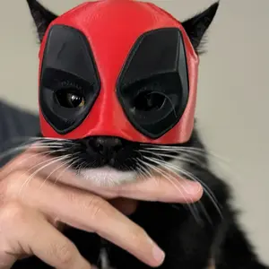 Deadpool Cat Mask for Funny Photos Accessories Lightweight