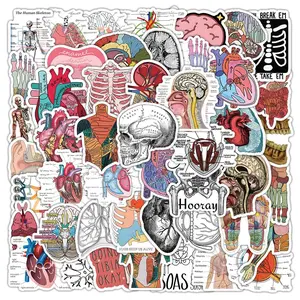 50 Anatomy Stickers for EMT Paramedic Nursing Students Great for Notebooks Waterproof Vinyl Medical Visual Aids & Reminders