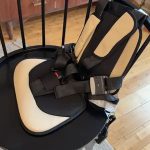 Craftsman Golf Child Positioner for Golf Carts, 5 Point Harness to Keep Kids Secure in Golf Cart, Universal Fit for Most Golf Carts