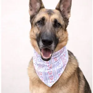 Americana Scrunchie dog bandana