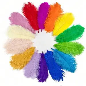 5pcs/pack 20-25cm Colorful Artificial Ostrich Feathers, Ideal for Crafts, Wedding Decorations, Handmade Accessories, Tabletop Decor, Carnival Feathers