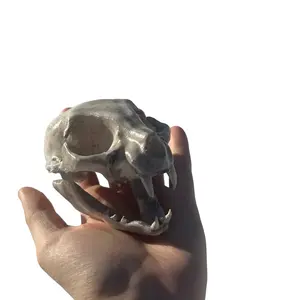 Cat Skull! 3D Printed and Handpainted - Unique Design with Detailed Features