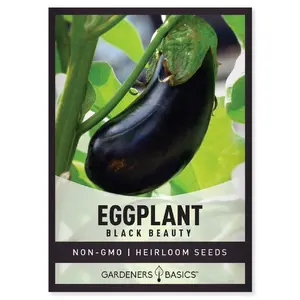 Black Beauty Eggplant Seeds