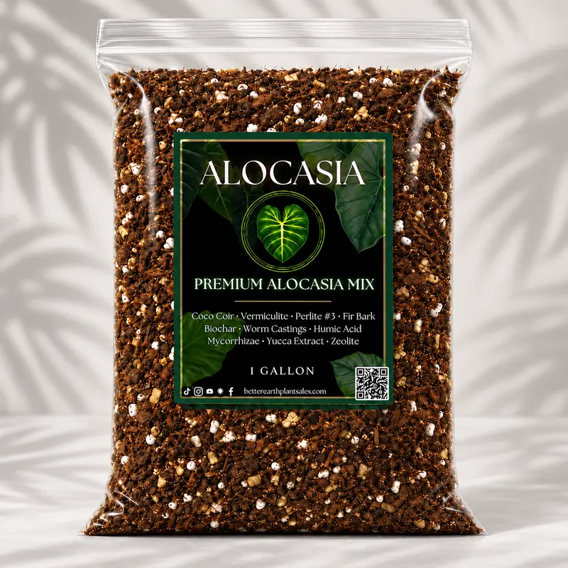 Alocasia Mix — Moisture-Rich, Aerated Soilless Potting Mix