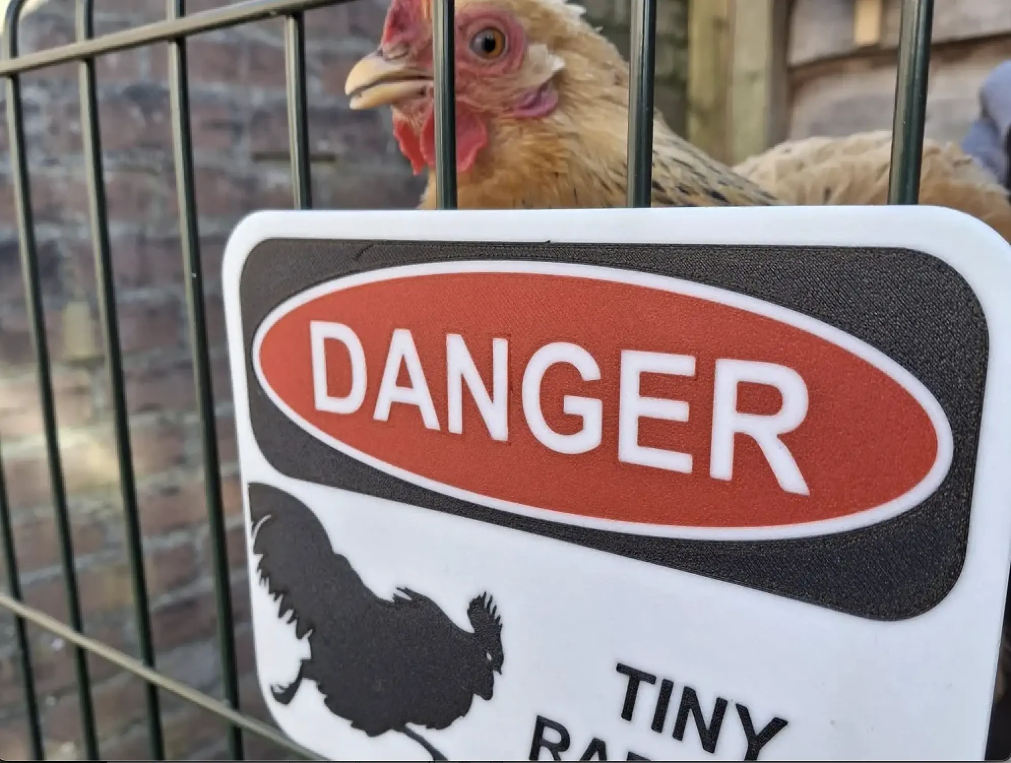 Danger Raptor Sign - Chickens - Farm Sign