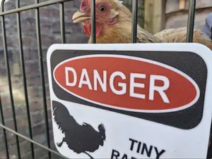 Danger Raptor Sign - Chickens - Farm Sign