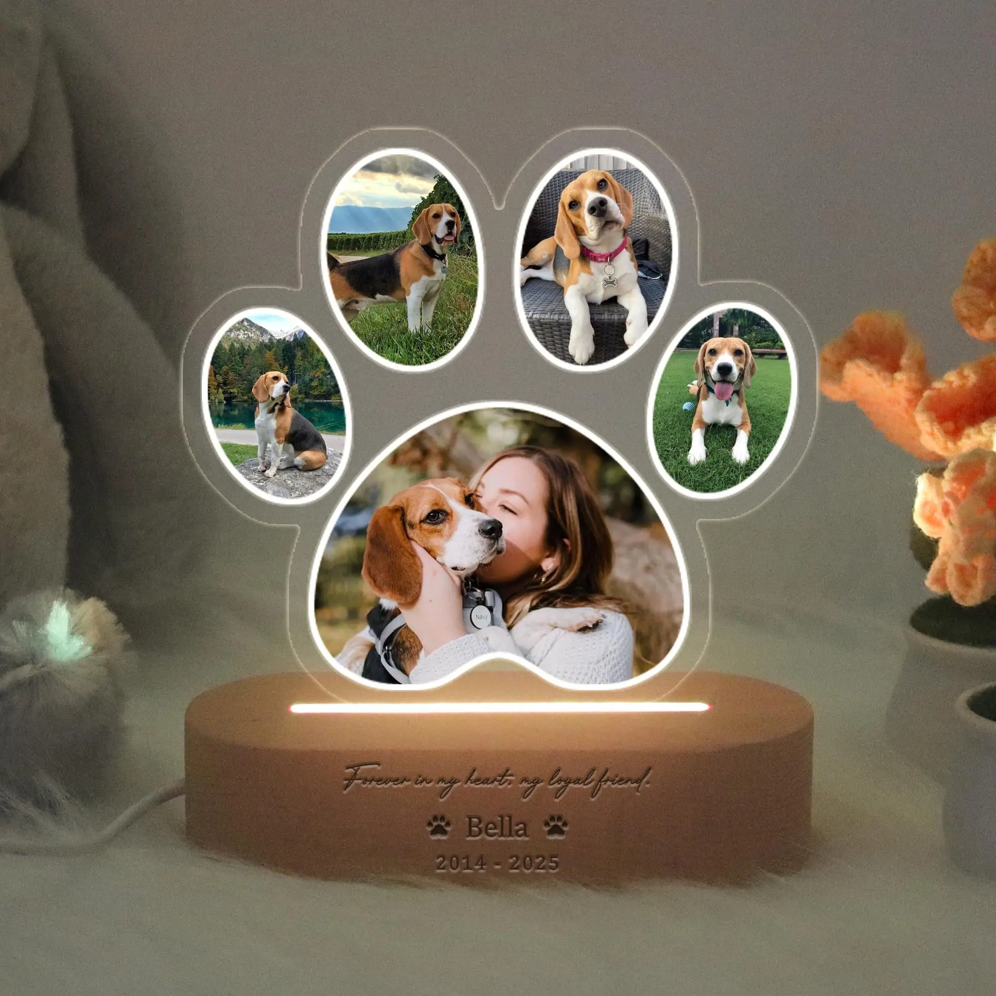 Personalized Dog Memorial Gifts, Custom Dog Memorial Night Lights for Pet Lover, Pet Loss Sympathy Gifts, Cat Memorial Gifts, Gift for Pet Lovers, Pet Cremation Keepsakes