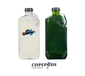 Copepod 16oz / Phytoplankton 16oz Combo - CopepodsForSale - FAST SHIP