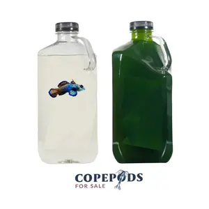 Copepod 16oz / Phytoplankton 16oz Combo - CopepodsForSale - FAST SHIP