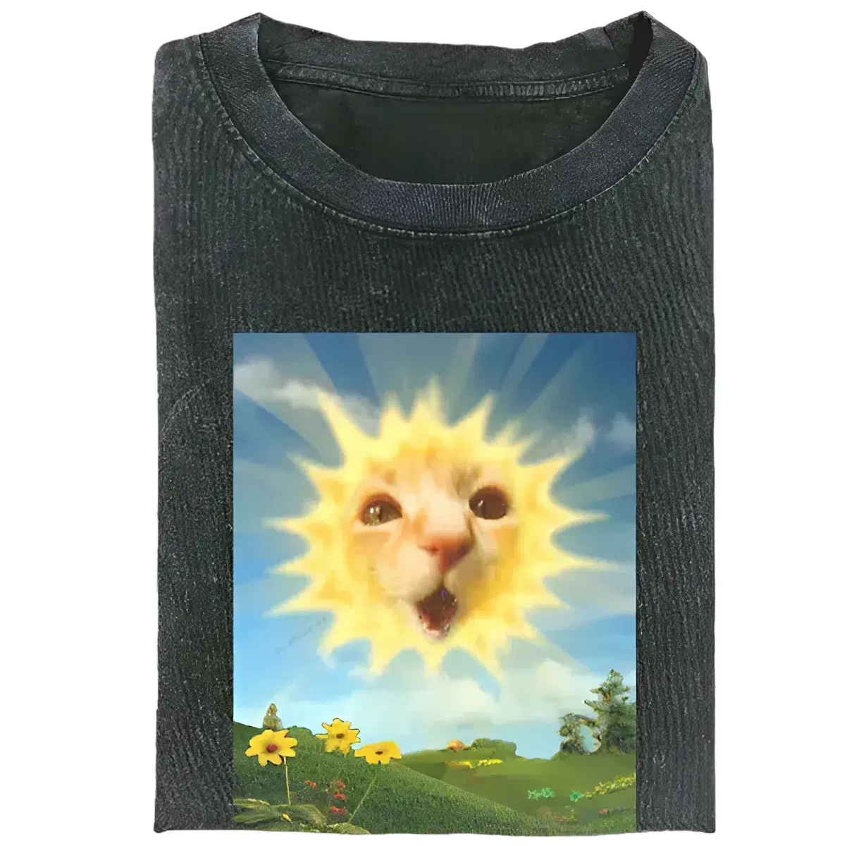 Funny Animal Vintage Graphic Tee, Sunshine Cat T-Shirt, Stupid Cat Animal Shirt, Unisex Meme Cringe Funny Shirt