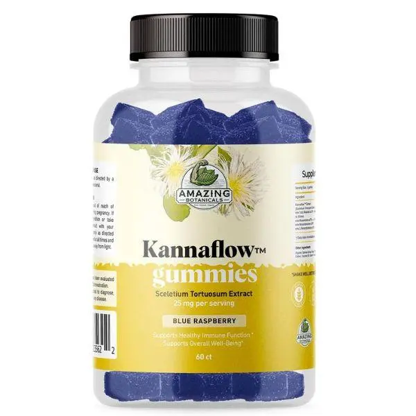 Amazing Botanicals Raspberry Kanna Chewable Healthcare Gummies - 60 Pieces, 25mg Standardized Sceletium Tortuosum Botanical Extracts (4% Mesembrine), GMP Certified Supplement, No Artificial Colors, Energy & Mood Boost, Focus Support
