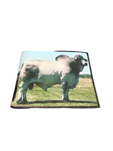 Billetera Vaquera con Toro de Piel Men’s Western Style Leather wallet with Bull