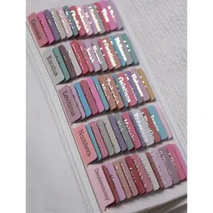 -Laminated  Tabs ( Foil Embossed Lettering),  Tabs for Women and Men,  Large Print Stickers, Easy to Read and Apply, 80Chapters Labels for Easy Navigation