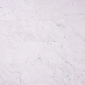 Carrara White Marble 6x12 Subway Tile Polished/Honed Sample