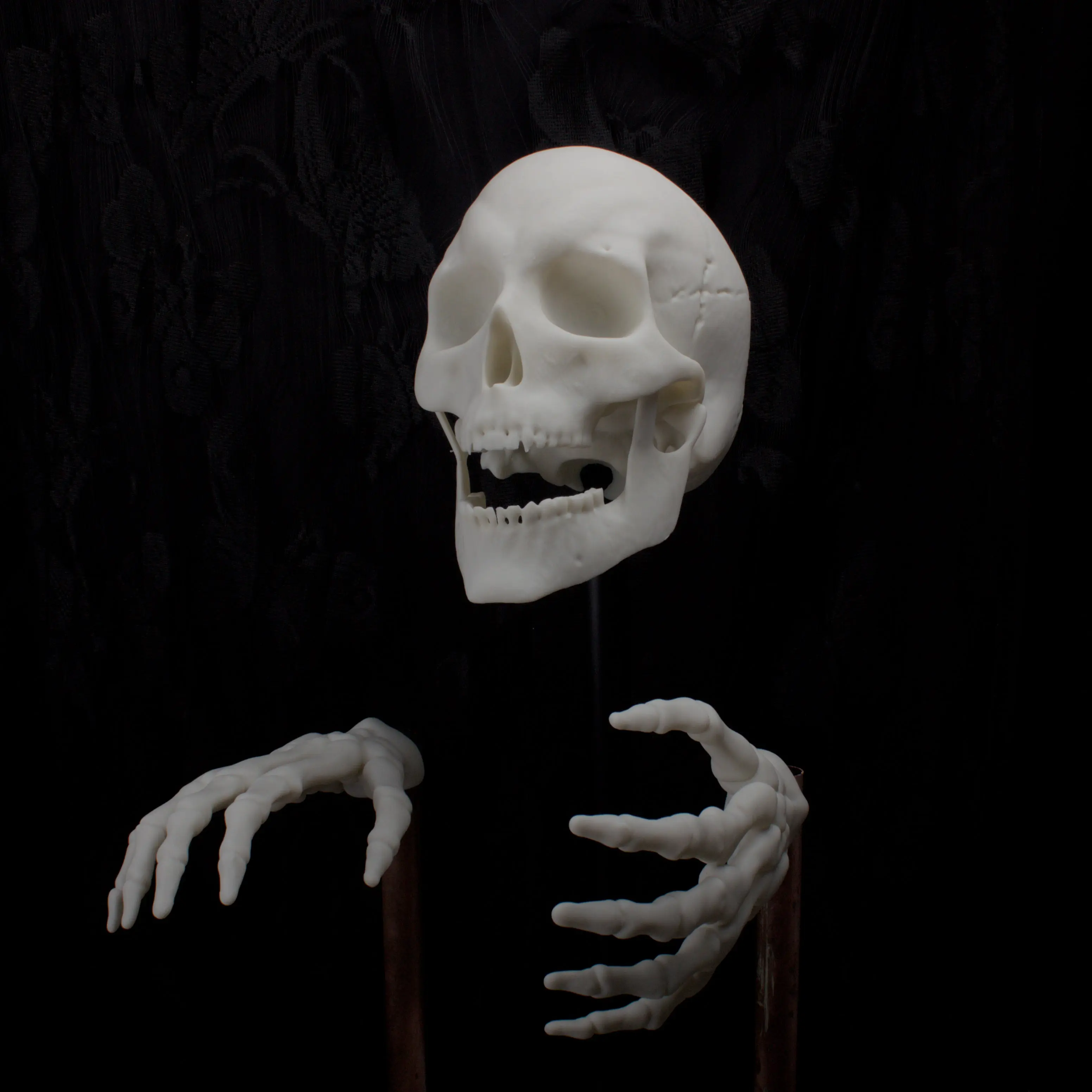 Wall Mounted Skull and Skeleton Hands