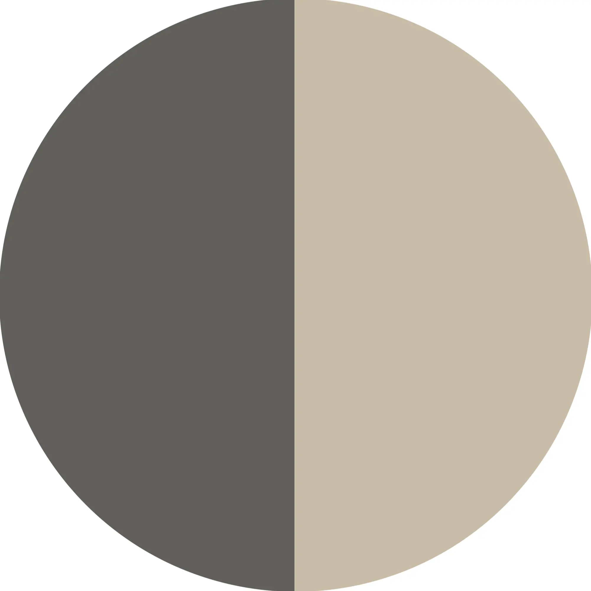 Abalone+charcoal-washed