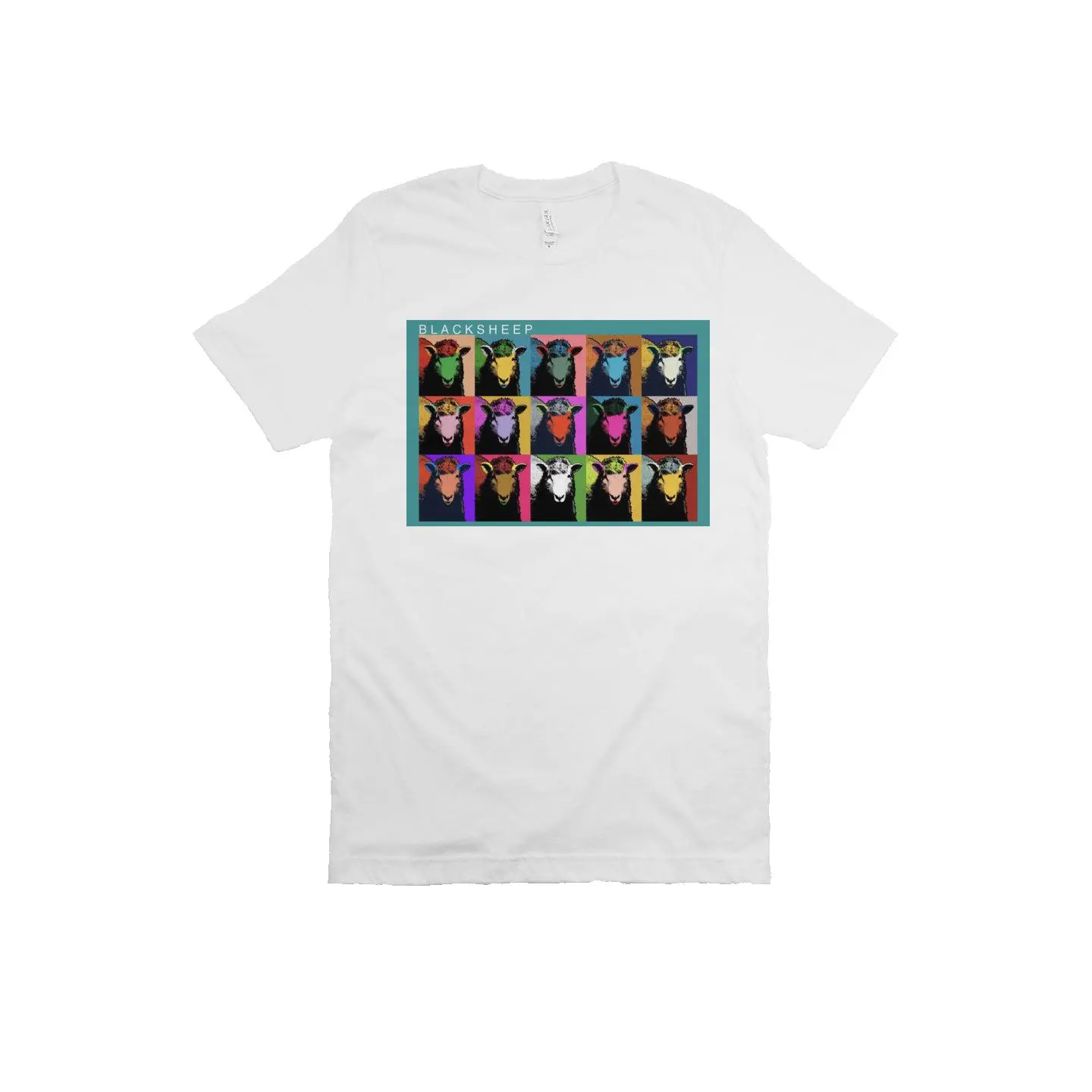 Bella Canvas T Shirt