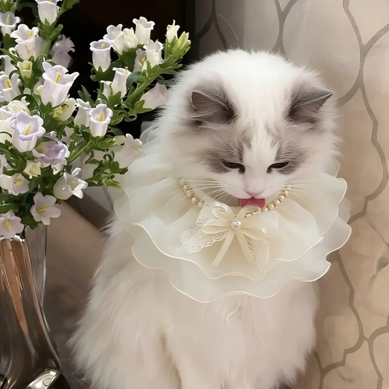 Princess Lace Pearl Pet Collar – Adjustable Bow Tie for Cats & Small Dogs, Elegant Wedding Party Photo Prop, Cute Birthday Gift for Furbaby, Bling Rhinestone Crystal Kitten Puppy Necklace Accessory