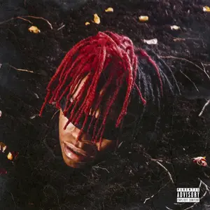 Dc the Don - FUNERAL  [VINYL RECORD - LP]