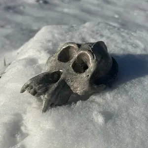 Monkey Skull! 3D Printed and Handpainted - Unique Design with Detailed Features Decor Artistic Faux