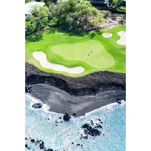 Hole 7 Vertical, Mauna Lani Golf Course, Hawai’i
