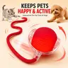 Smart Self-Rolling Cat Toy Ball,Rechargeable Motion Activated Teaser,Indoor Cat Entertainment Hack,USB Rechargeable, 100g, Motion-Activated Instant Play, Auto-Roll, Bird Chirping & Lights, Prevents Boredom, Anti-Depression Aid Pet Gift