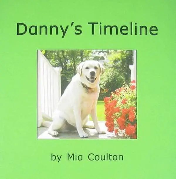USED Book - Danny s timeline (Danny Is Back) by Mia Coulton (Paperback) - english