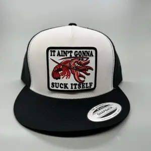 It Ain't Gonna Suck Itself Trucker Hat, Funny Hat, Retro Mesh Back Snapback, High Crown, Hunting Hat, Fishing Hat, Variations Available, Adult Size