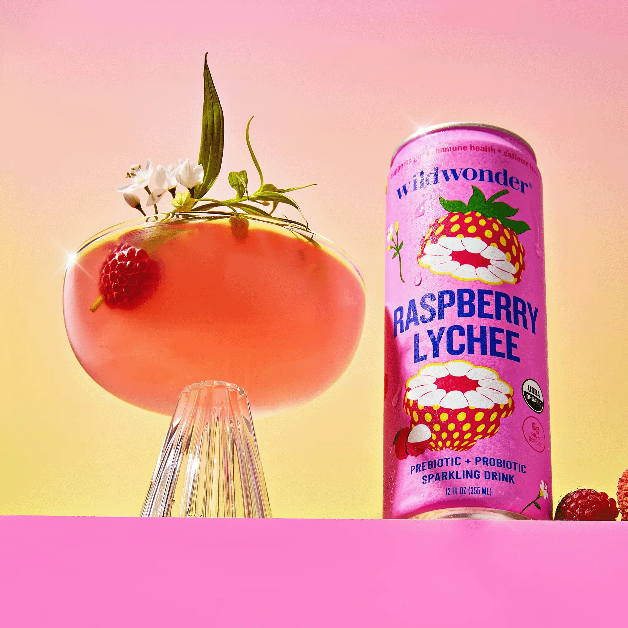 wildwonder Sparkling Probiotic Drink For Gut Health & Immune Support, Raspberry Lychee, 5g Prebiotic Fiber, Live Probiotics, Organic, Vegan, Low Sugar, 12oz Can, Seen on Shark Tank,summerwins  Fruit Healthy Beverage