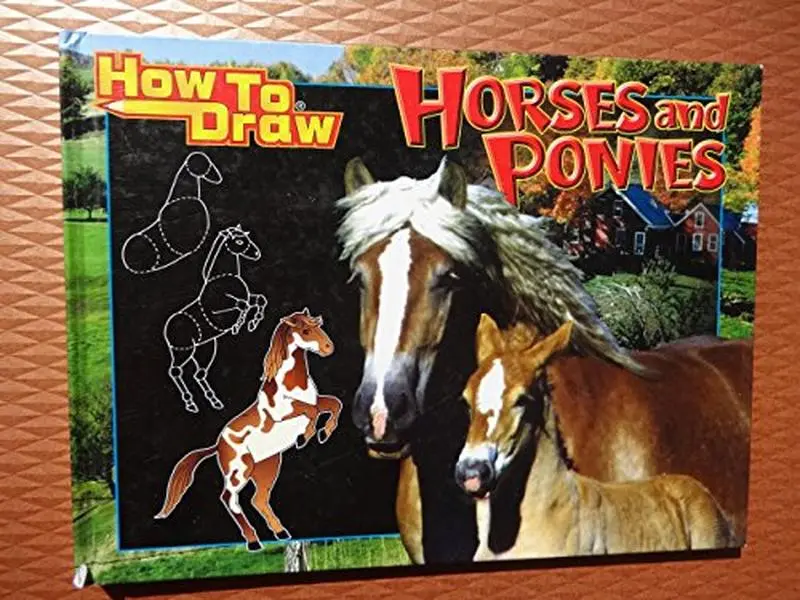 USED Book - How To Draw Horses and Ponies by Carrie Fink (Hardcover) - english