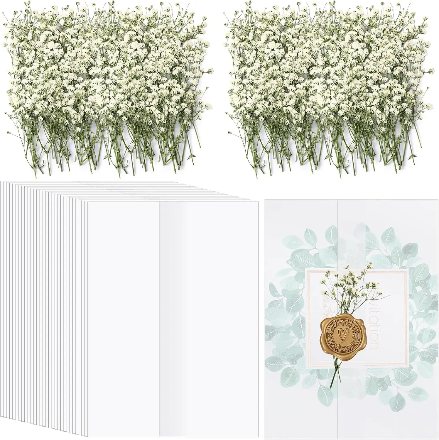 50 Pcs Wedding Invitations Wraps Set Pre Folded Vellum Jackets for 5 x 7 Invitations with 100 Pcs Natural Dried Pressed Flowers for Wedding Birthday Party Supplies Craft DIY