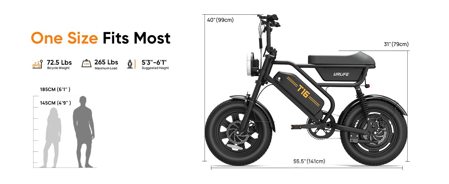 1000W Peak Motor Electric Bike for Adults/Teens 16" Fat Tire 48V 13AH Battery E-Bike 60 Miles Range Off-Road UL 2849 Certified