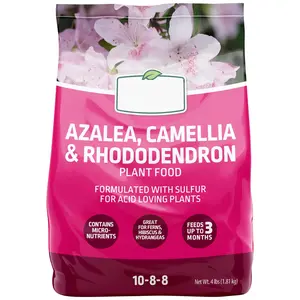 Azalea, Camellia & Rhododendron Plant Food Fertilizer 10-8-8, 4 lb. - Formulated with Sulfur for Acid-Loving Plants, Feeds Up to 3 Months