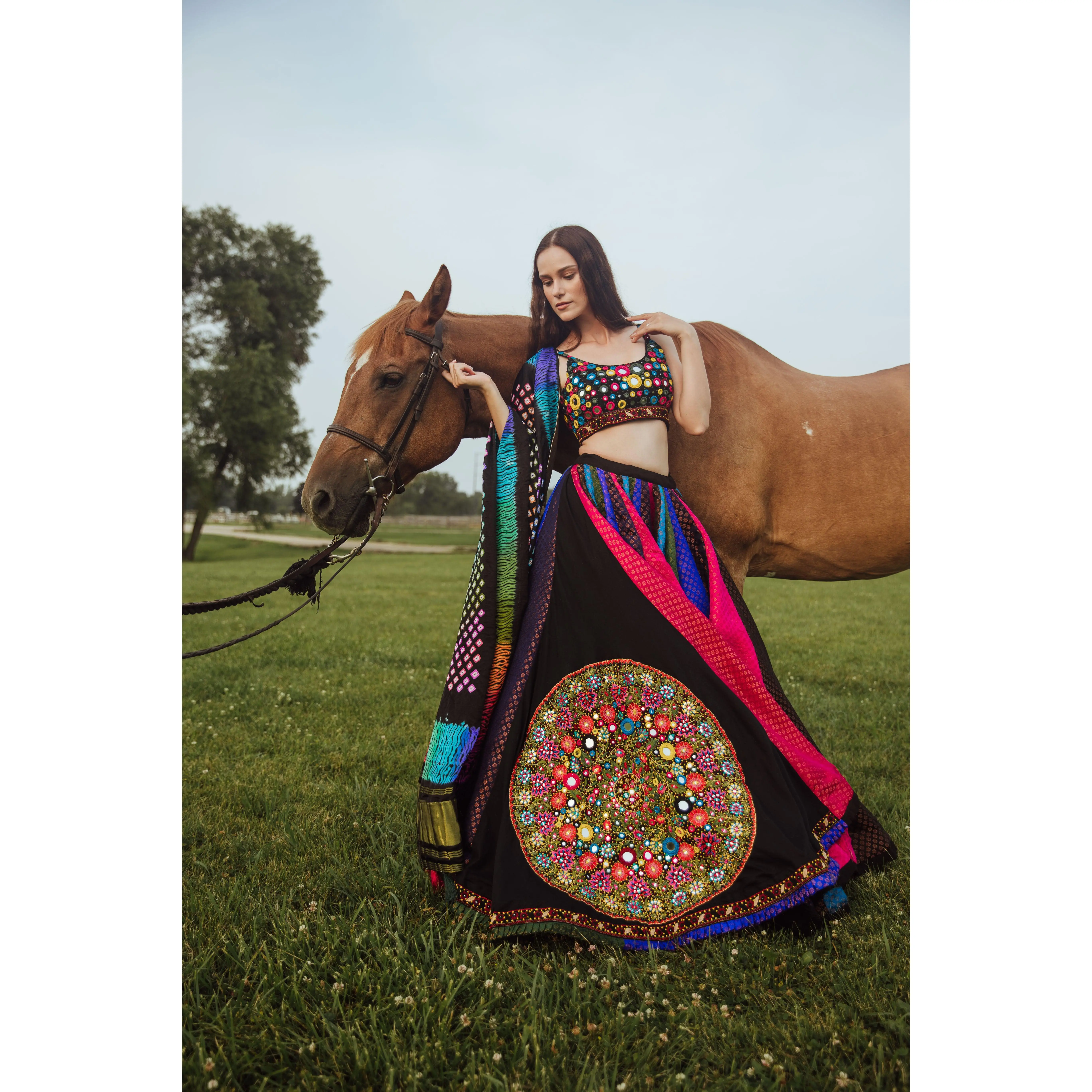 Multicolor Mirror Chaniya Choli Set