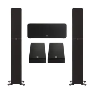 Definitive Technology Dymension 5 Channel Surround Sound System - Bundle with (2) DM60 Towers, (1) DM10 Center Channel, and (2) DM95 Rear Speakers