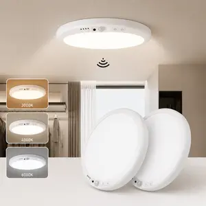 2-Pack Rechargeable Motion Sensor Ceiling Light with Remote | 3 Color Modes, Magnetic Wireless LED Lights for Closet, Shower, Hallway & More | Great Father's Day Gift