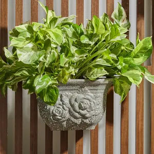 Jardiniere Wall Planter